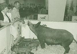 Imagen de archivo de cerdolís en Agropec.