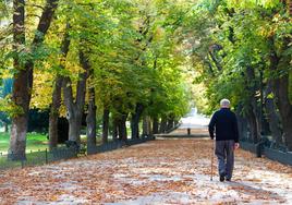 Una persona mayor caminando por un parque.