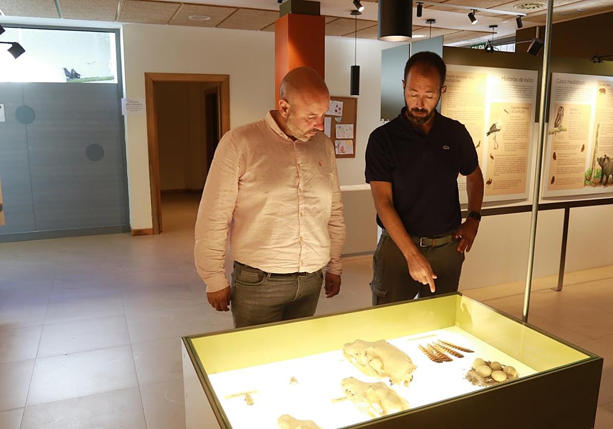 Miguel Diez y Marcos da Rocha, en el Centro de Recuperación de Fauna Silvestre.