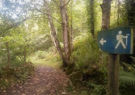 Los trazados senderistas entre bosques, a la orilla de ríos y solitarios, son la opción perfecta para caminar el otoño asturiano