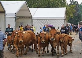 La feria de Santa Teresa se enfría ante el «encarecimiento» del pienso y los forrajes