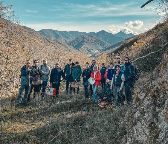 Profundizar en el conocimiento de las setas y disfrutar de los ecosistemas y paisajes del concejo de Aller: esta es la esencia de las rutas micológicas que comienzan esta semana