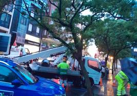 Árbol caído sobre un vehículo en la calle de La Cámara.