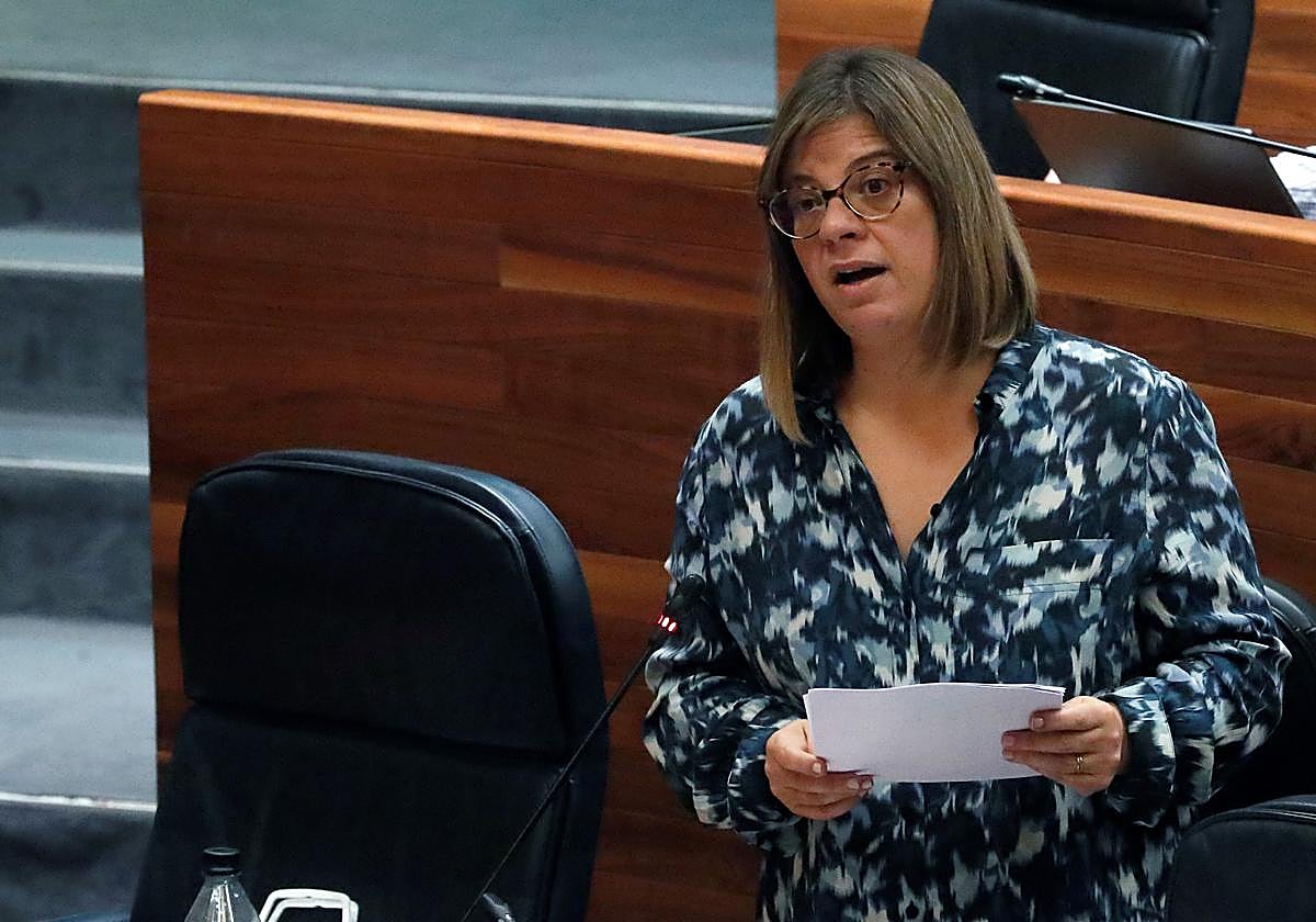 El Principado aprobará el viernes el proyecto de ley de Reto Demográfico