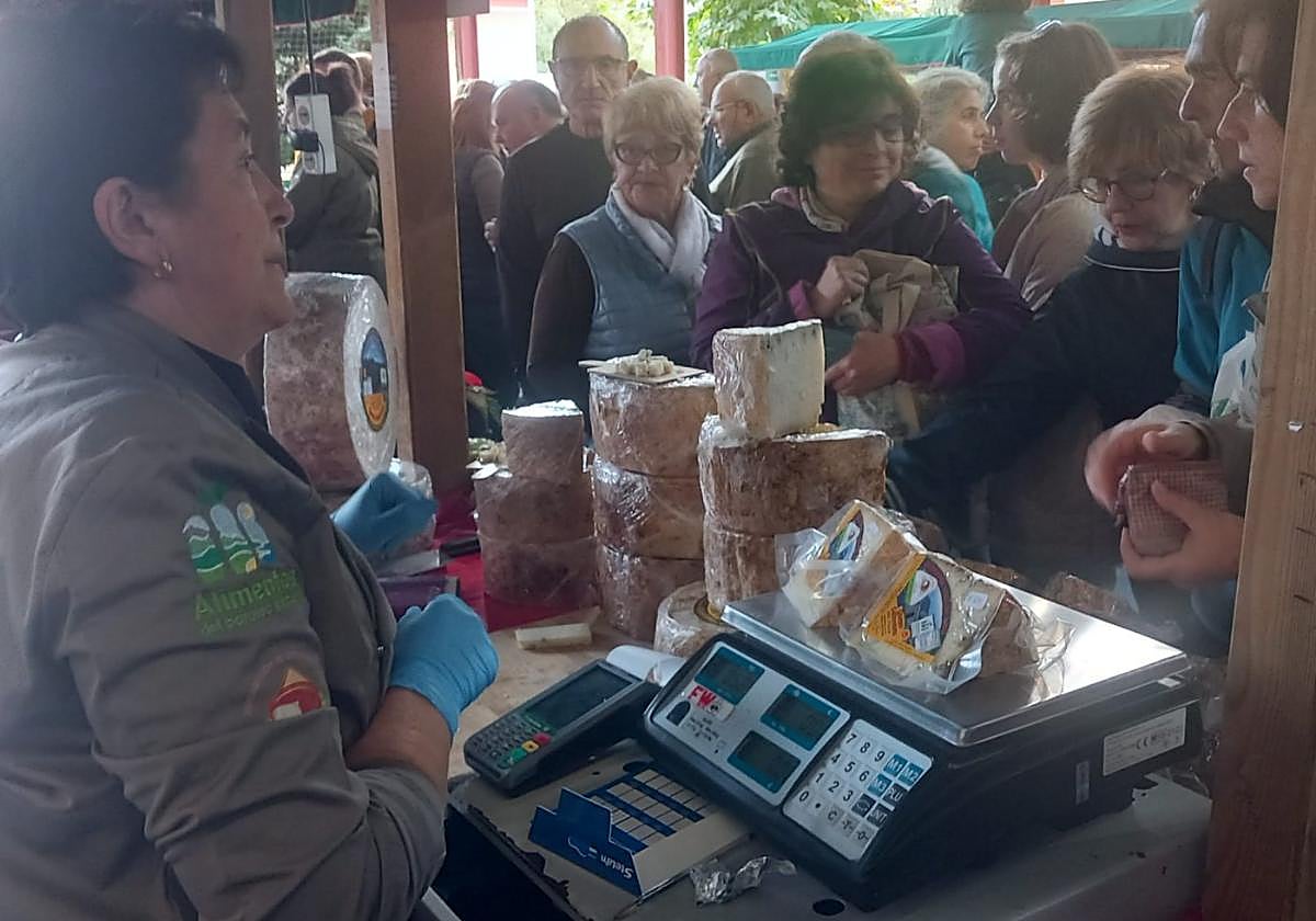 Al XLIII Certamen del Gamonéu llegaron cerca de 2.000 kilos de queso elaborado por dieciséis productores, tres de la variedad del Puerto, a 50 euros el kilo, y trece del Valle.
