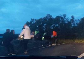 La autovía del Cantábrico, cortada durante casi una hora a la altura de Cadavedo por la caída de un árbol