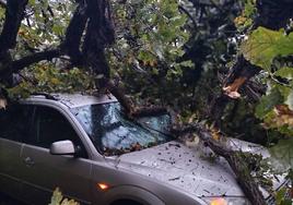 Las fuertes rachas de viento dejan destrozos por toda Asturias: las imágenes del temporal