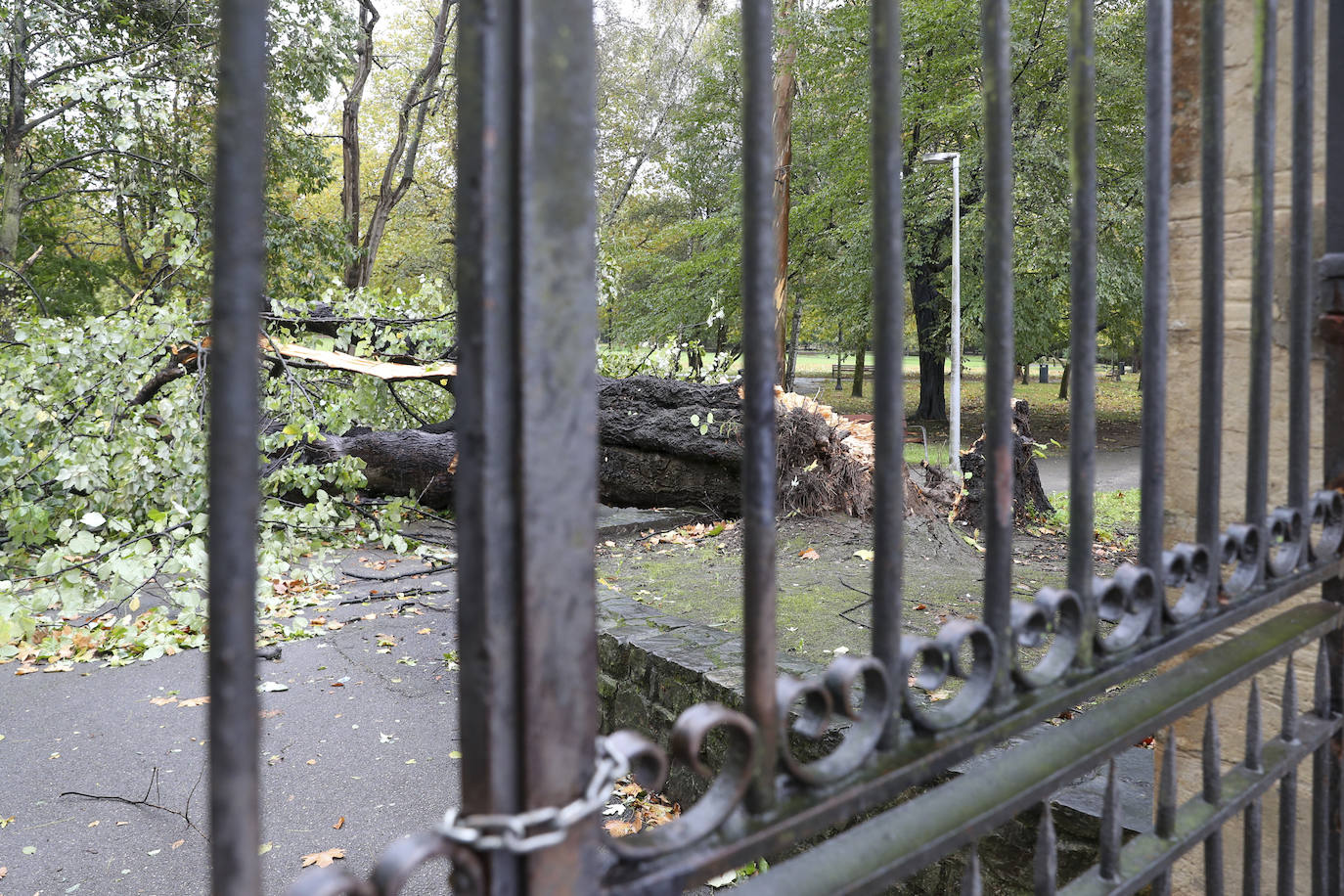 Las fuertes rachas de viento dejan destrozos por toda Asturias: las imágenes del temporal