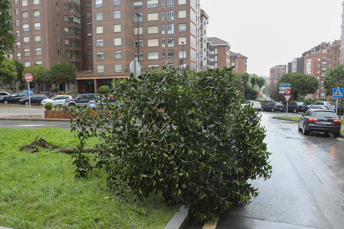 Las fuertes rachas de viento dejan destrozos por toda Asturias: las imágenes del temporal