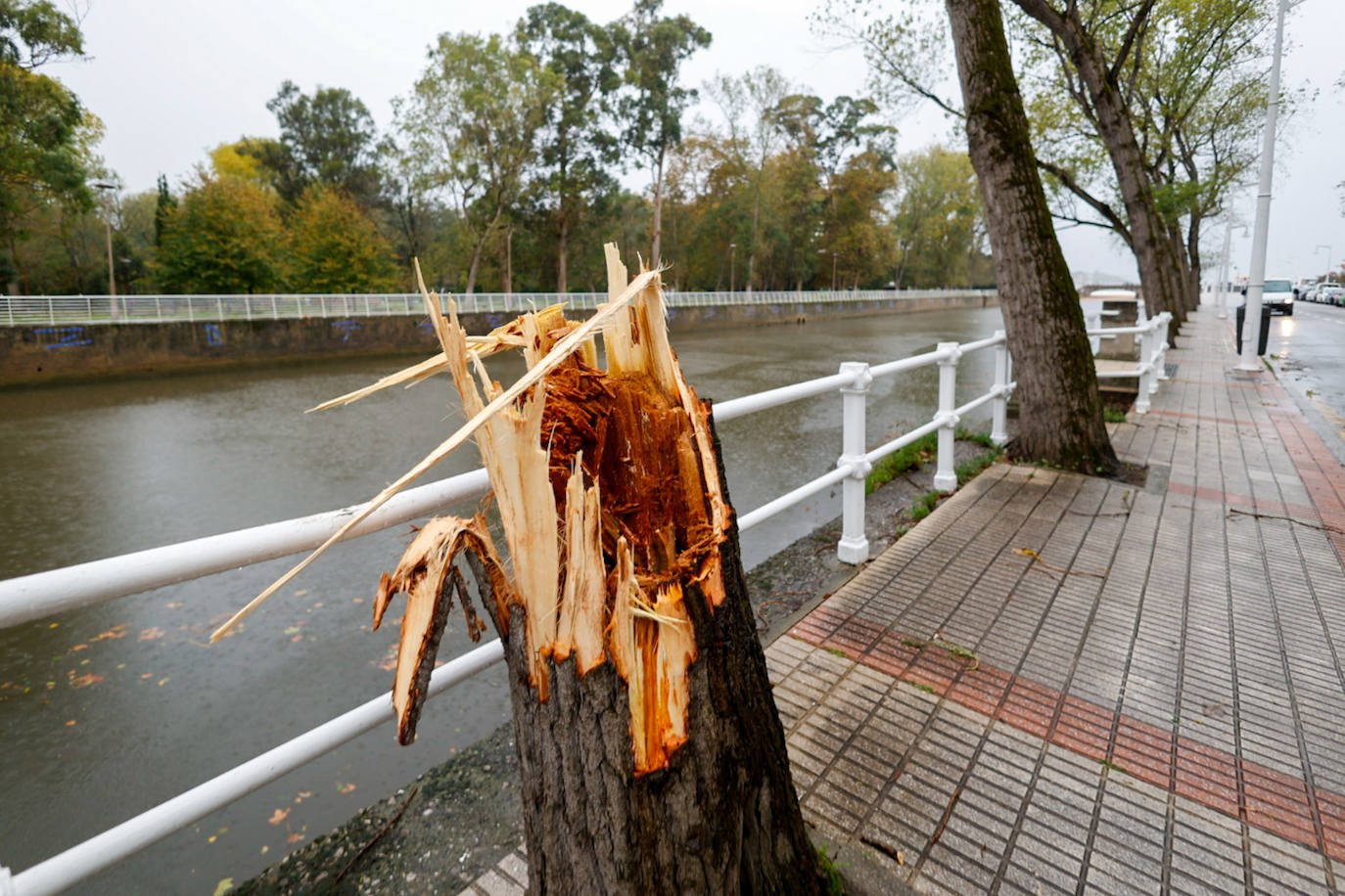 Las fuertes rachas de viento dejan destrozos por toda Asturias: las imágenes del temporal