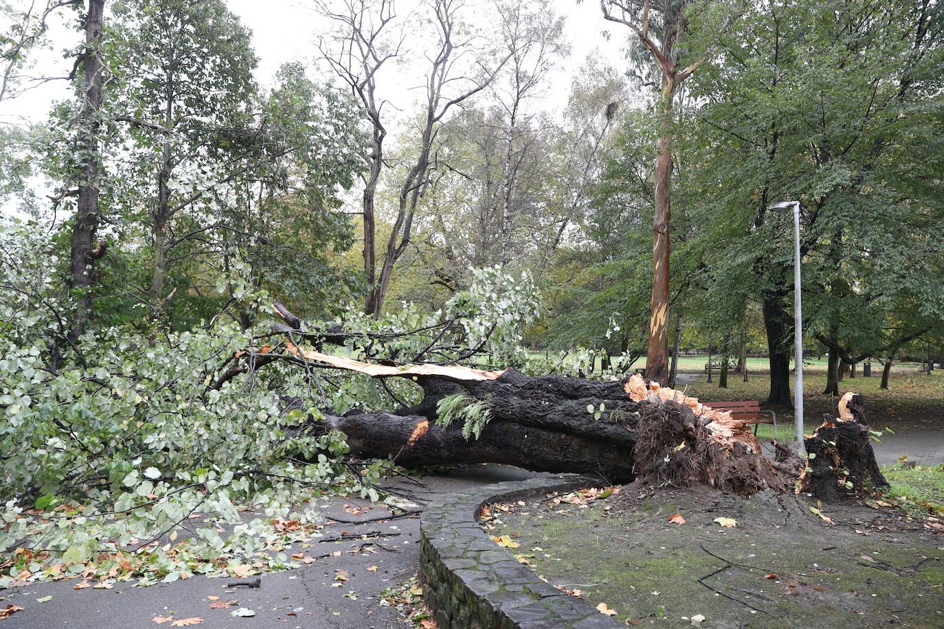 Las fuertes rachas de viento dejan destrozos por toda Asturias: las imágenes del temporal