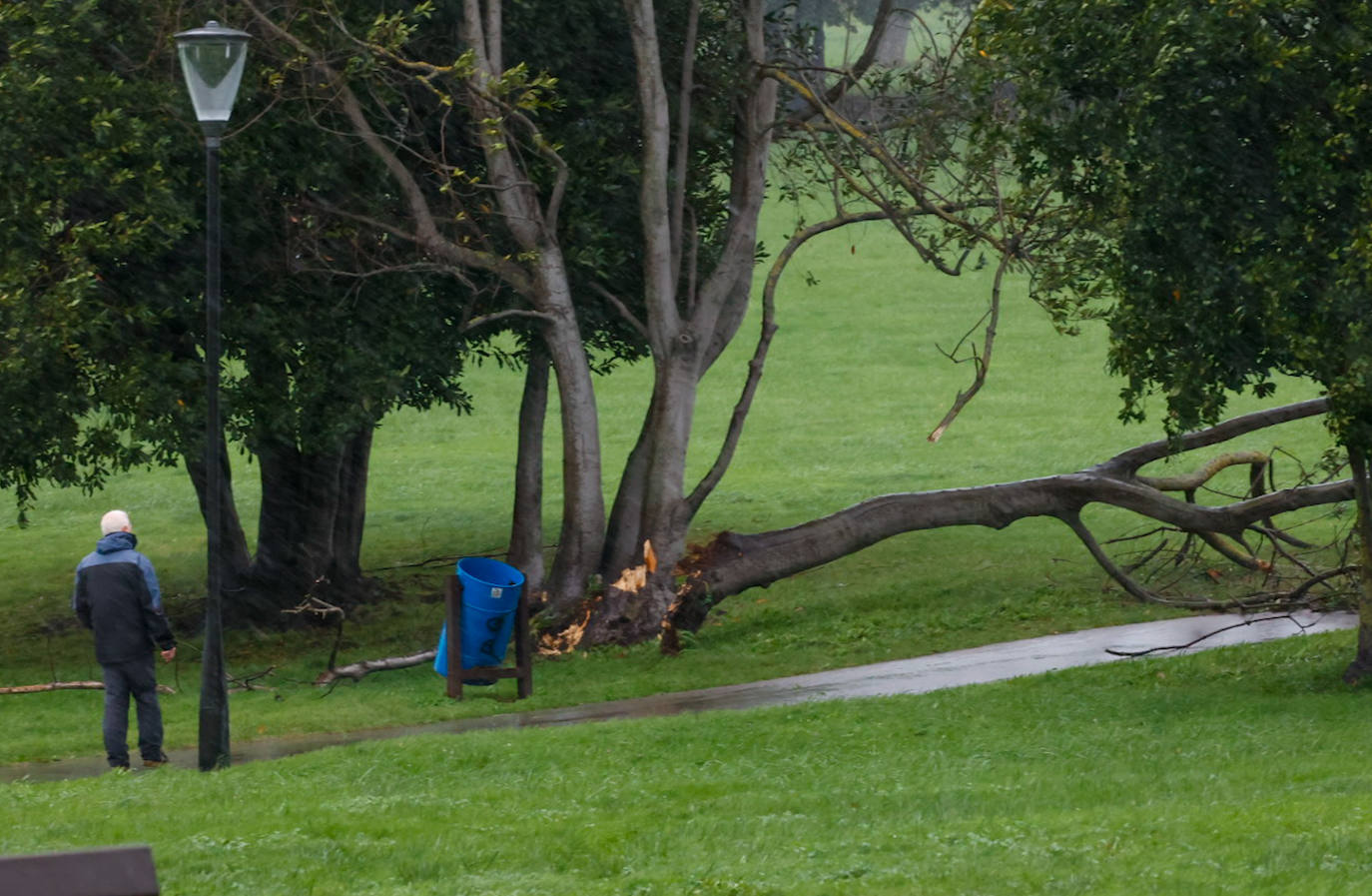 Las fuertes rachas de viento dejan destrozos por toda Asturias: las imágenes del temporal