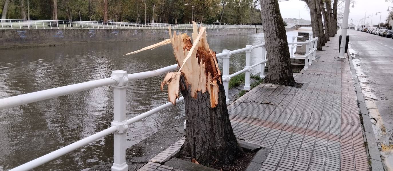 Las fuertes rachas de viento dejan destrozos por toda Asturias: las imágenes del temporal