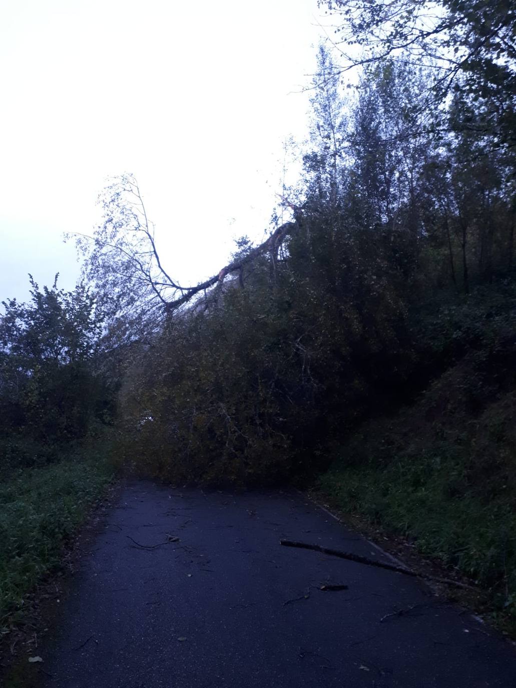 Las fuertes rachas de viento dejan destrozos por toda Asturias: las imágenes del temporal