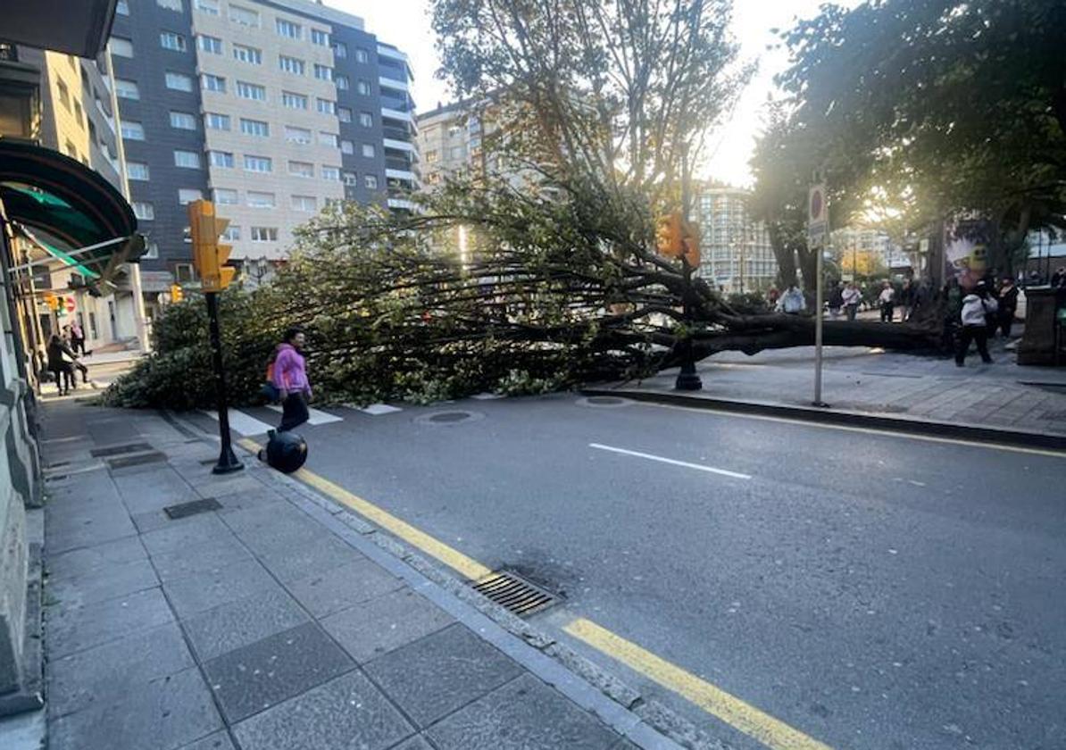 Las imágenes de los daños que deja la borrasca &#039;Domingos&#039; a su paso por Asturias