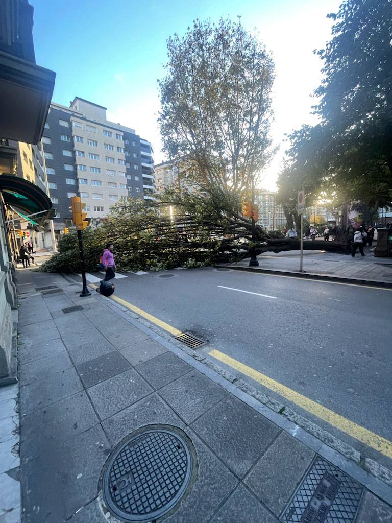 Las imágenes de los daños que deja la borrasca &#039;Domingos&#039; a su paso por Asturias