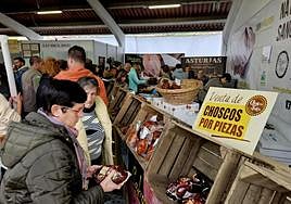 Estand de la IGP Chosco de Tineo durante su XII festival