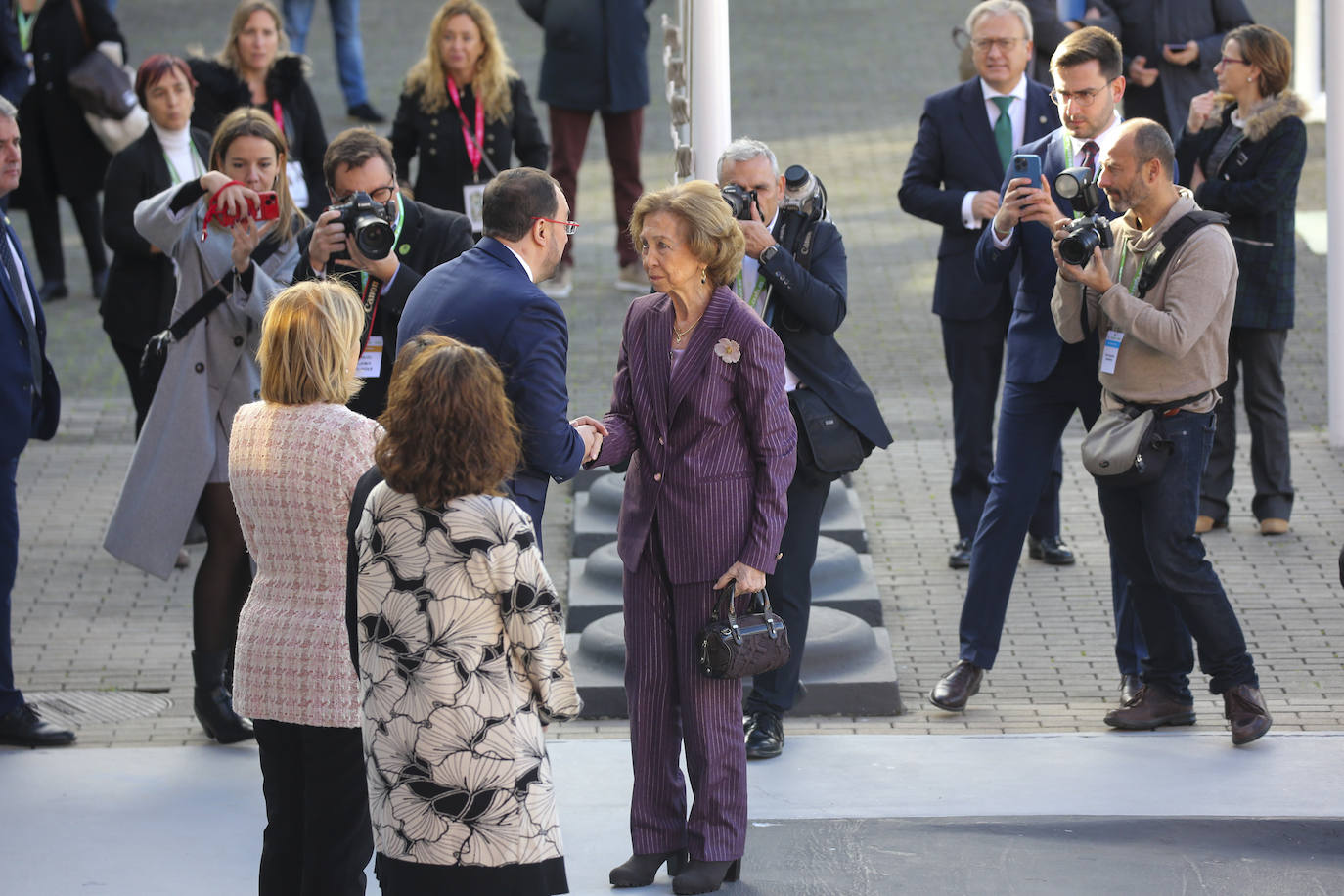 La Reina Sofía inaugura el Congreso Nacional de Alzheimer en Gijón