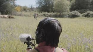 À PROCURA DA ESTRELA