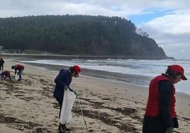 Varios voluntarios limpian la playa.