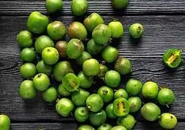 El kiwiño, también llamado kiwi enano, kiwi baby y minikiwi.