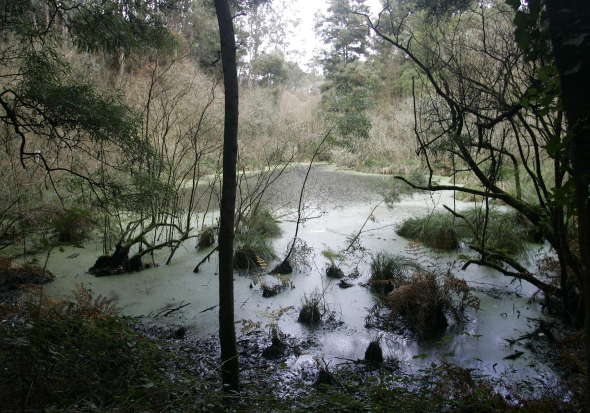 Las lagunas de Salave.