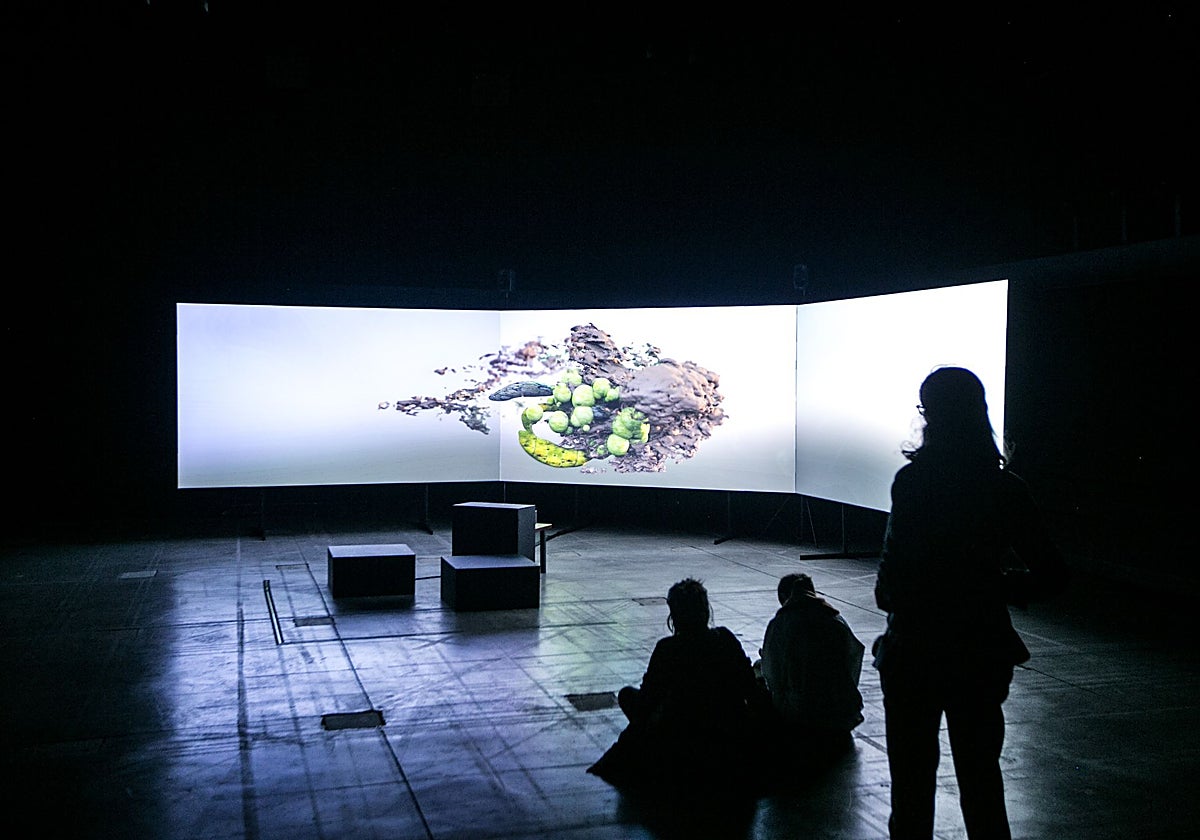 Visual Birds Sounds en el centro de creación Matadero de Madrid.