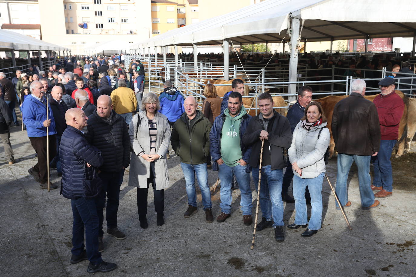 La feria del ganado de Cabañaquinta, en imágenes