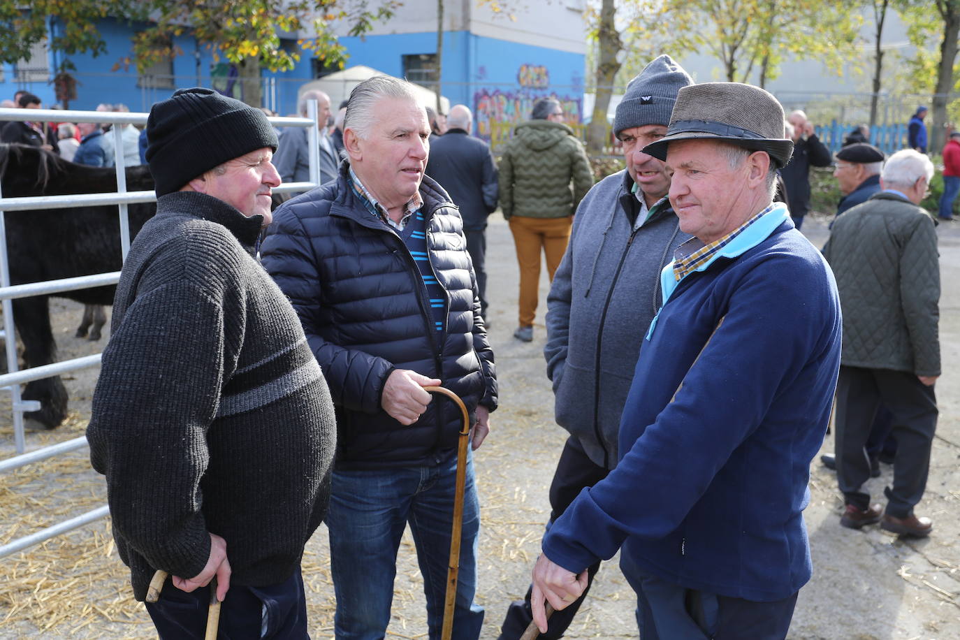 La feria del ganado de Cabañaquinta, en imágenes