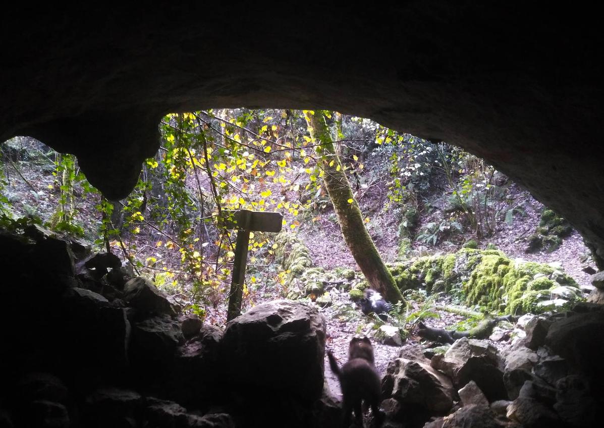 Imagen secundaria 1 - Cueva de la Collubina 