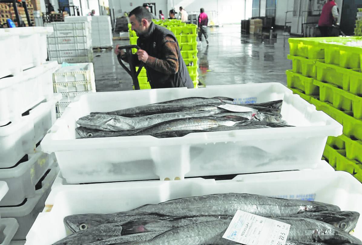 Descarga de capturas de merluza en la rula de Avilés.