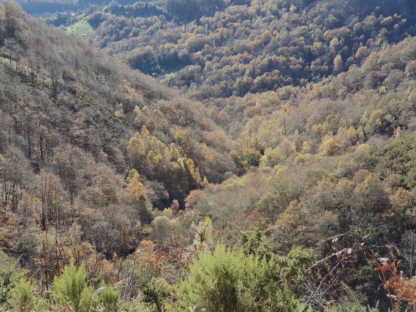 Bajando el valle de la Regona