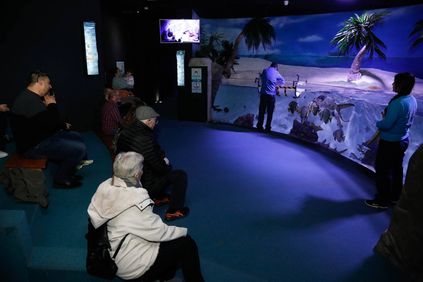 El Acuario y La Laboral, un aula navideña para los niños de Gijón