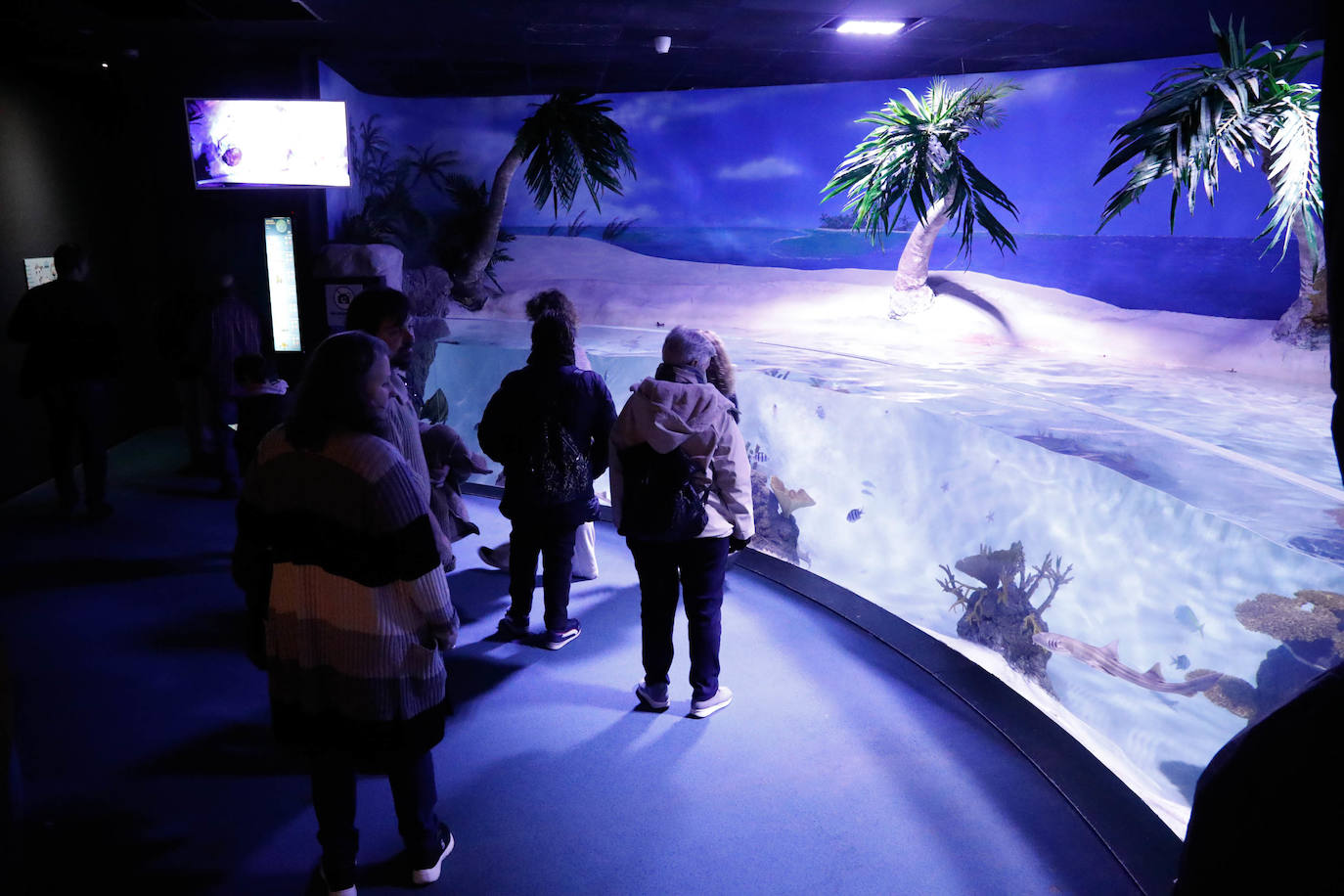 El Acuario y La Laboral, un aula navideña para los niños de Gijón