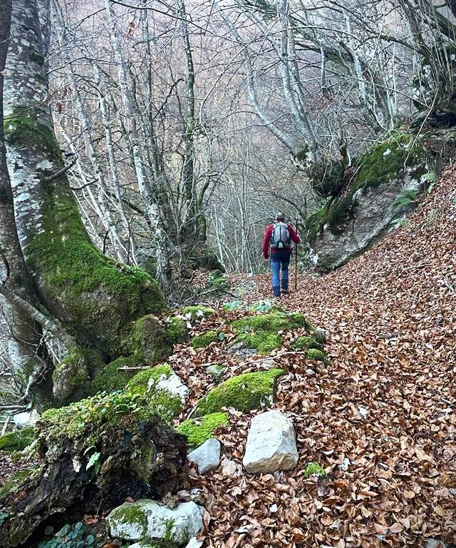 Los espectaculares rincones de la ruta Cabeza del Arco