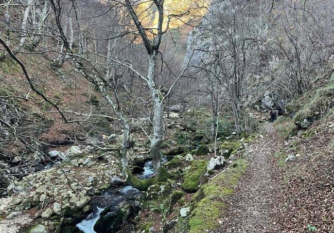 Sendero junto al río por el valle de Xulio, zona ondulada de fría agua que ocupa una buena parte de esta ruta