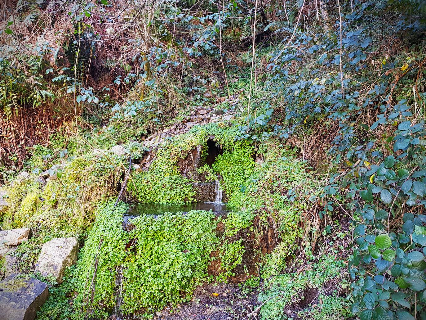 Los espectaculares rincones de la ruta Cabeza del Arco