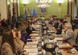 Pleno extraordinario para la fábrica de armas de La Vega.