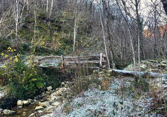 Puente de madera en uno de los tramos boscosos del valle de Xulio