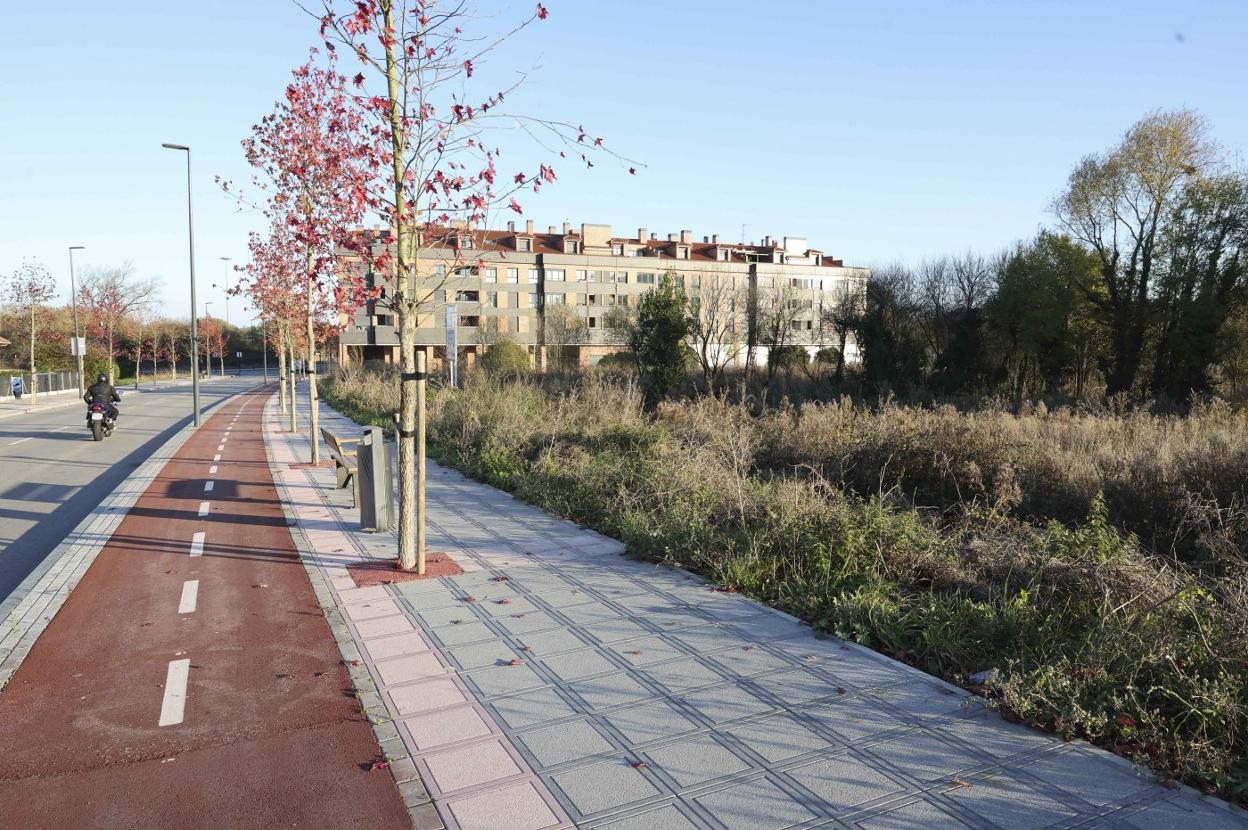 Parcela de la Avenida de Les Bellotines de Lugones -cedida por el Ayuntamiento de Siero- para la construcción de 44 viviendas sociales destinadas a jóvenes menores de 35 años. 