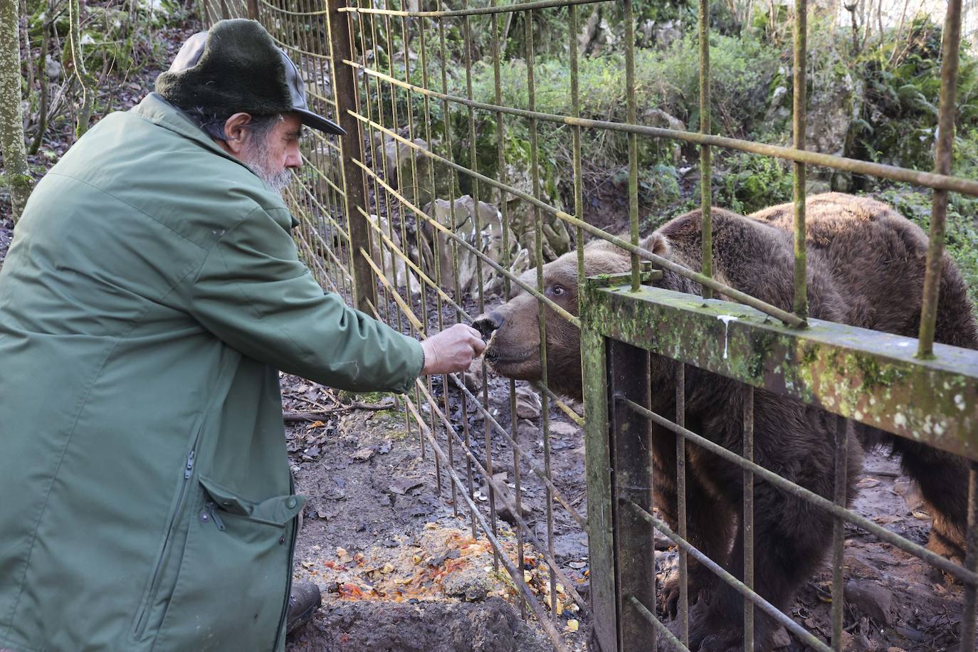 Fotos: El triste final del zoo de Cangas