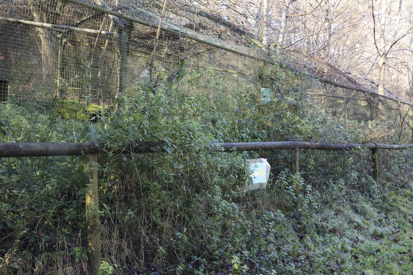 Fotos: El triste final del zoo de Cangas