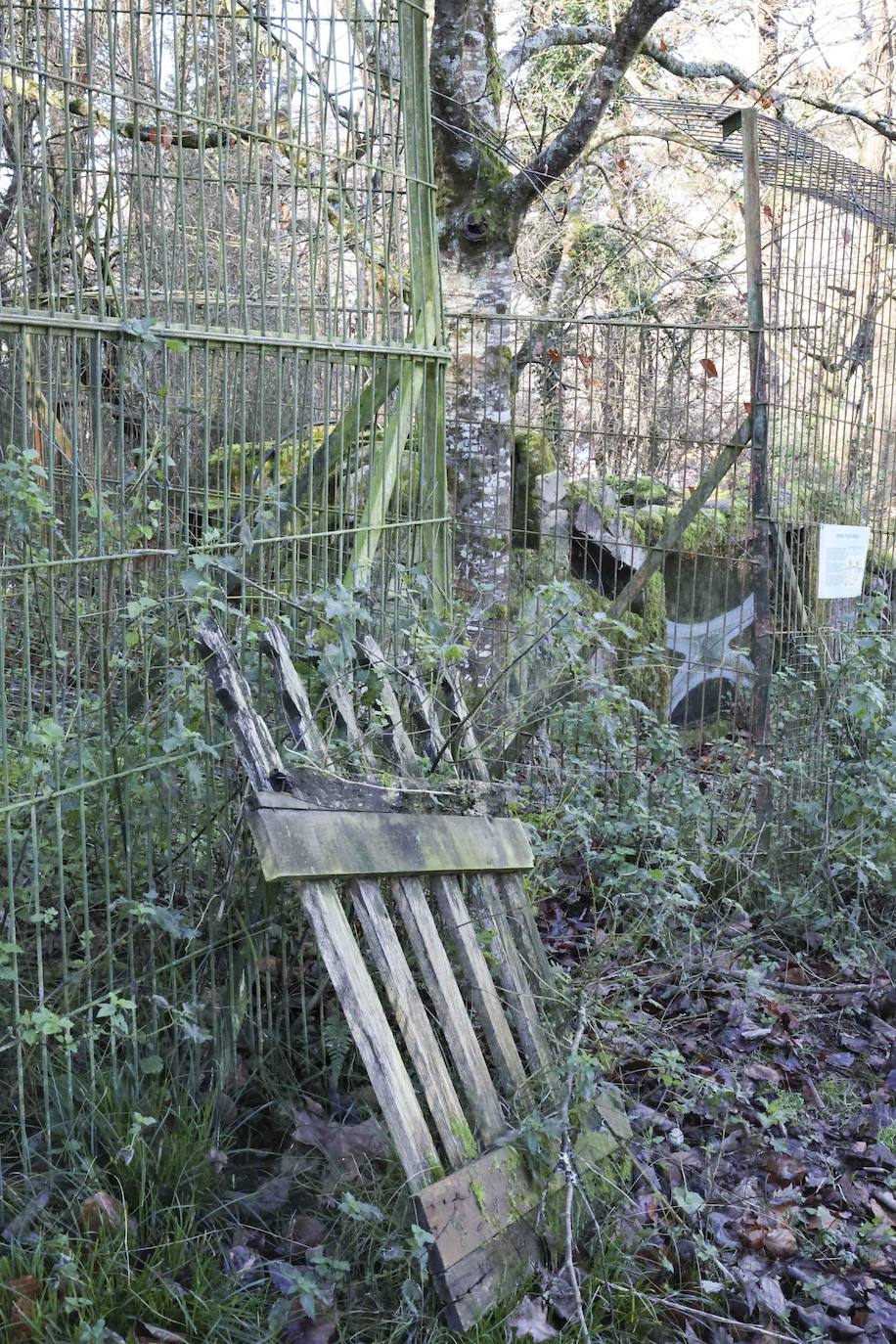 Fotos: El triste final del zoo de Cangas