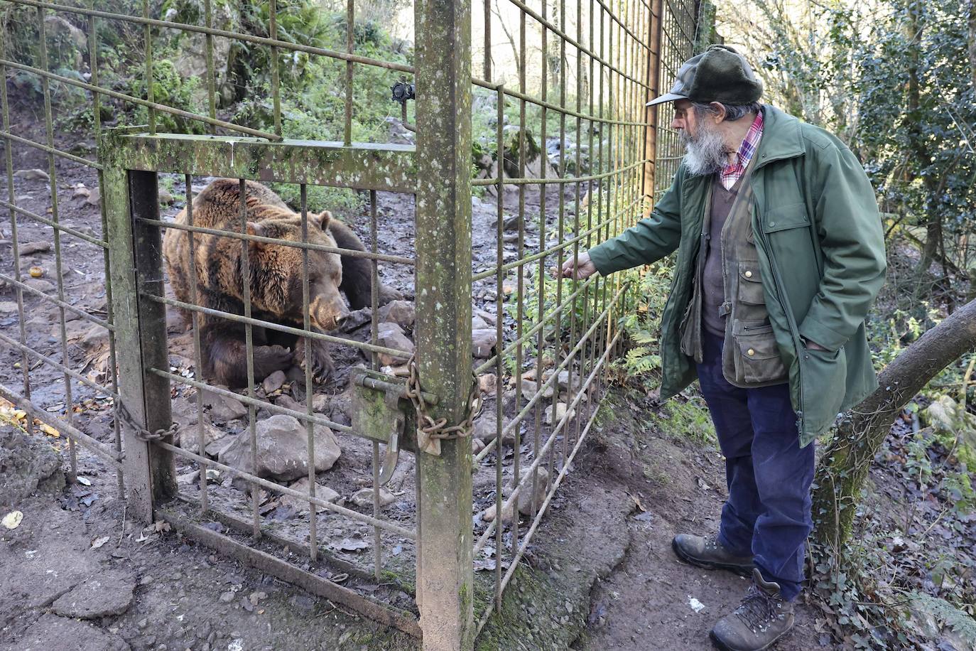Fotos: El triste final del zoo de Cangas