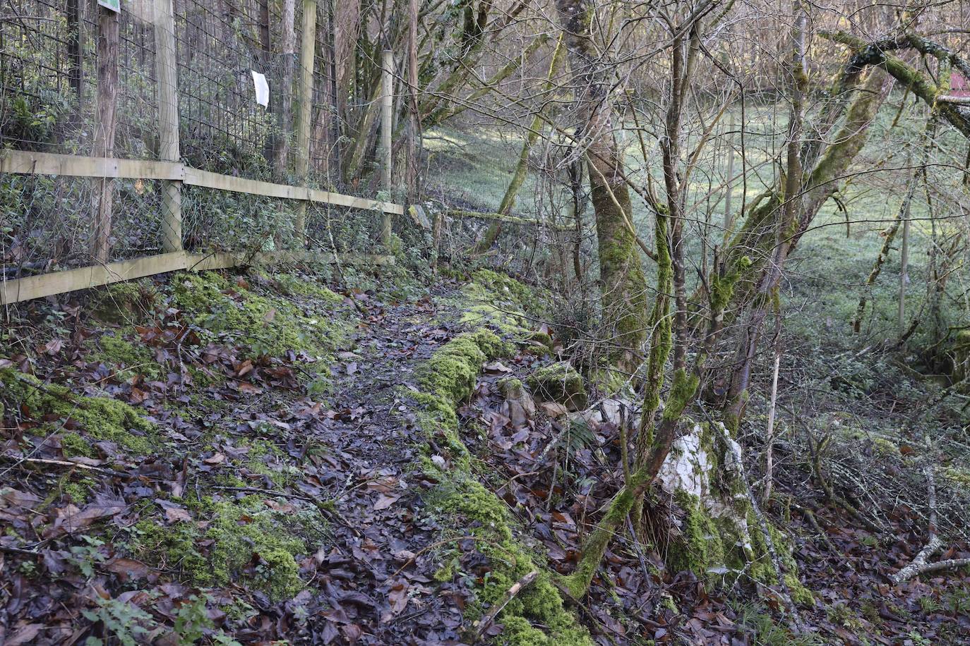 Fotos: El triste final del zoo de Cangas