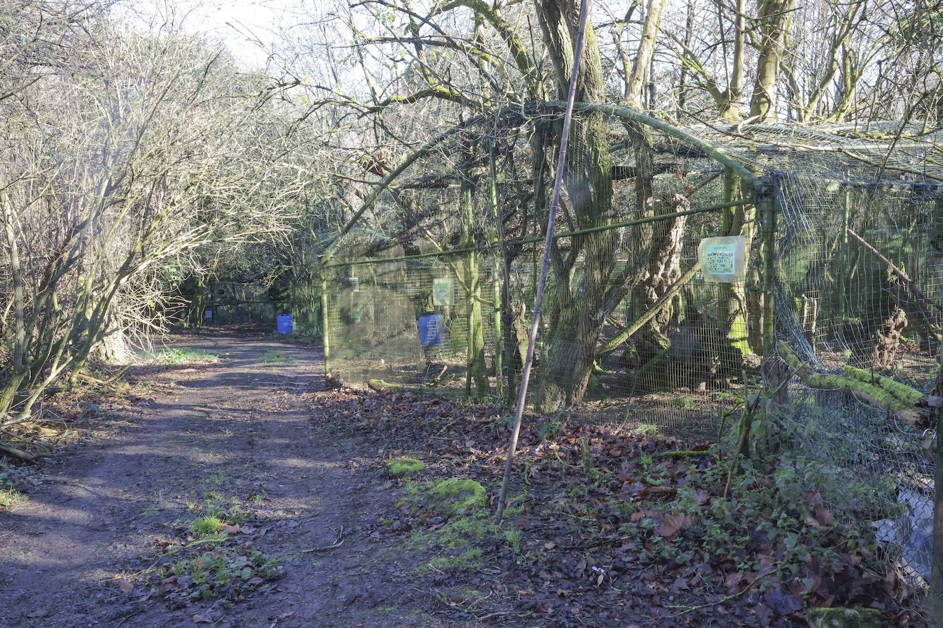 Fotos: El triste final del zoo de Cangas