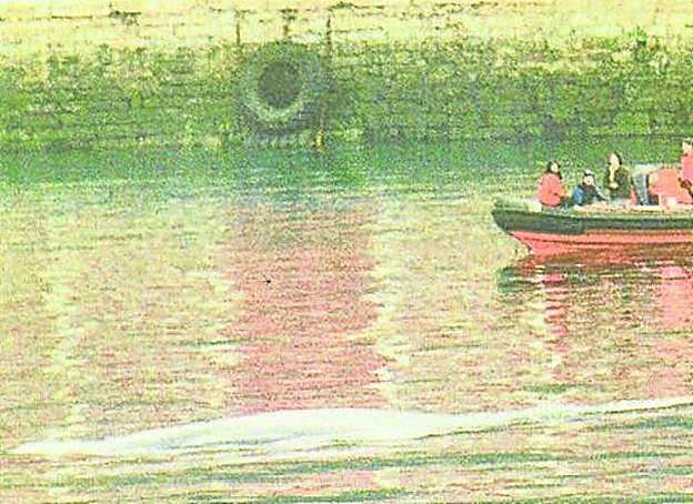 El rorcual, en aguas del Musel.