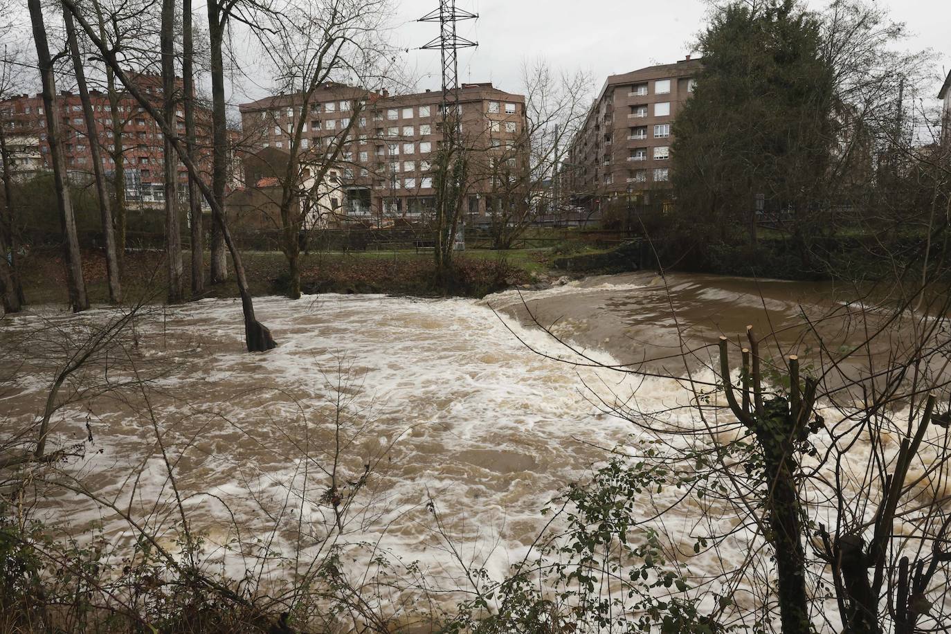 Fotos: Siero bajo el agua de Gerárd