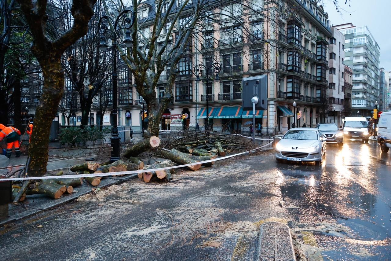 Fotos: Inundaciones y árboles caídos por el temporal en Gijón