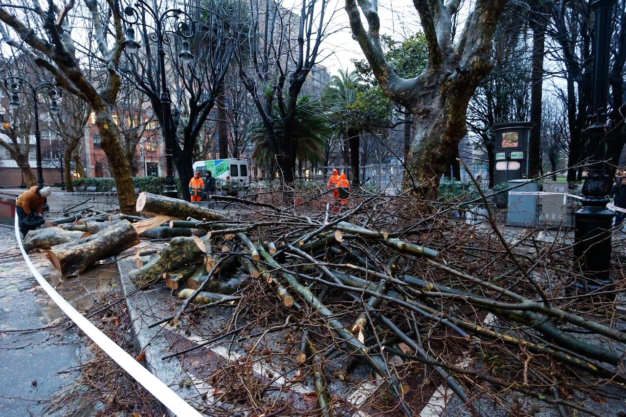 Fotos: Inundaciones y árboles caídos por el temporal en Gijón